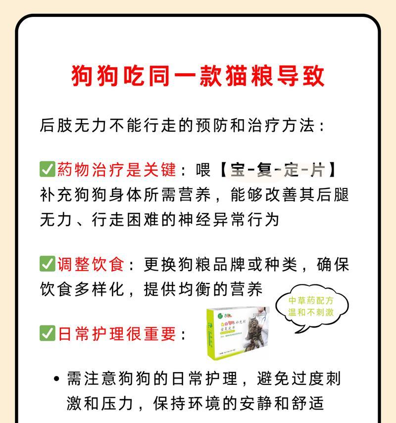 狗狗误食猫粮后应该怎么办？如何防止类似情况发生？