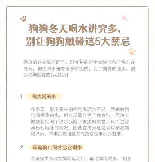 狗狗的饮用水如何准备？狗狗喝水的正确方式是什么？