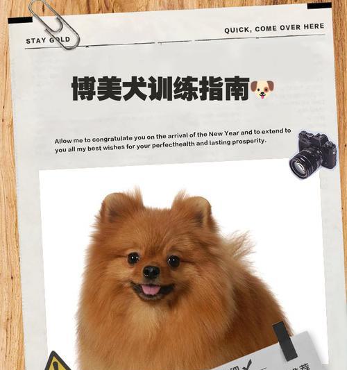 博美犬不进笼子怎么办？如何训练博美犬适应笼子？