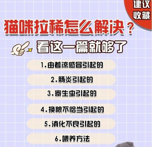 小猫肠炎的治疗方法(宠物家庭应对肠炎的实用指南) 小猫肠炎的治疗方法(宠物家庭应对肠炎的实用指南)