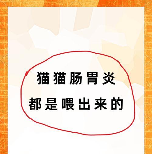 小猫肠炎的治疗方法（宠物家庭应对肠炎的实用指南）