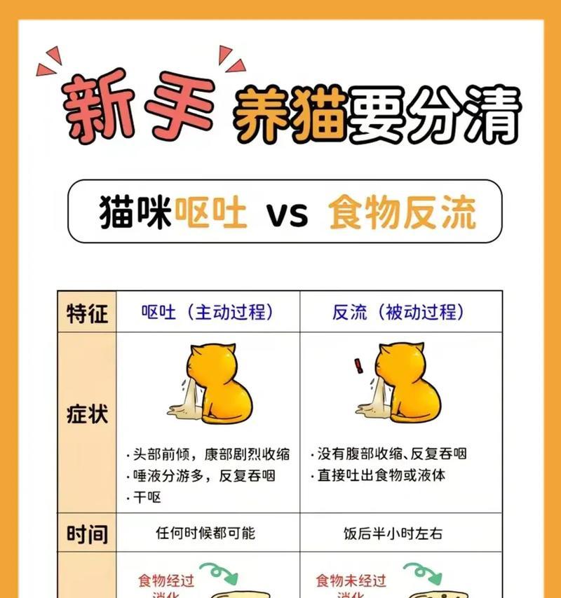 宠物健康注意事项(以猫咪喂了鸡胸肉吐了为例) 宠物健康注意事项(以猫咪喂了鸡胸肉吐了为例)