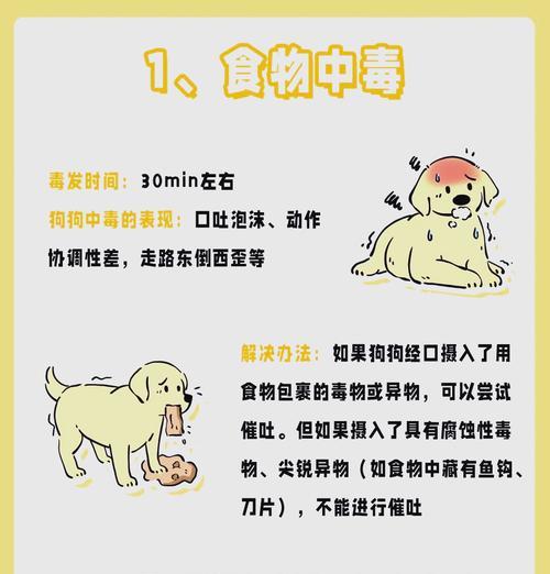 狗狗驱虫后中毒了怎么办？如何预防和处理？