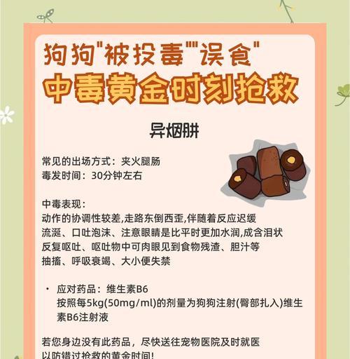 狗狗驱虫后中毒了怎么办?如何预防和处理? 狗狗驱虫后中毒了怎么办?如何预防和处理?
