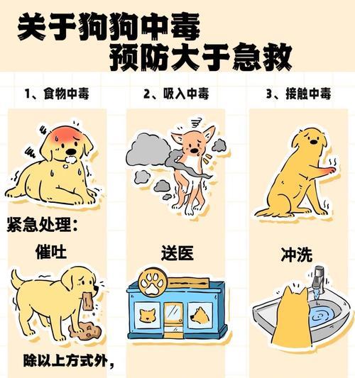 狗狗驱虫后中毒了怎么办?如何预防和处理? 狗狗驱虫后中毒了怎么办?如何预防和处理?
