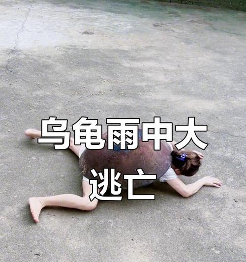 宠物乌龟暴毙事件引发的思考（从宠物养殖、照顾到保护野生动物）