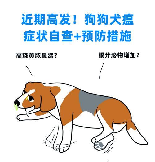 狗瘟是什么（了解狗瘟）