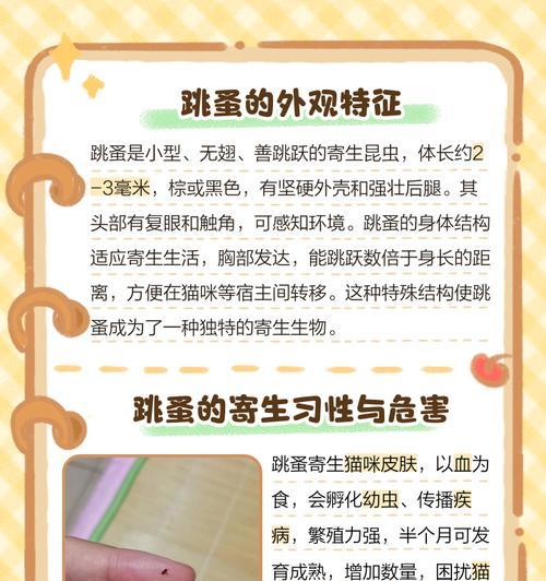 如何应对宠物猫身上的跳蚤(全面了解猫咪身上的跳蚤问题) 如何应对宠物猫身上的跳蚤(全面了解猫咪身上的跳蚤问题)