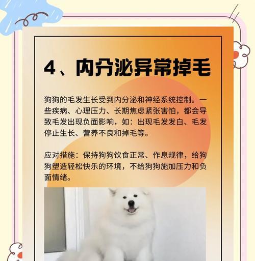 狗狗毛发脱落怎么办?如何正确给狗狗拉大毛? 狗狗毛发脱落怎么办?如何正确给狗狗拉大毛?