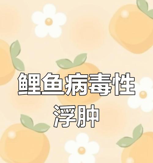 锦鲤鱼是否传染疾病？
