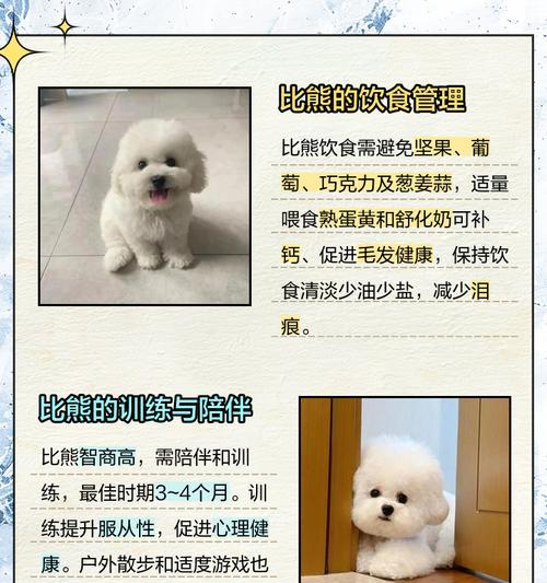 比熊犬的寿命有多长？比熊最大能活到多少岁？