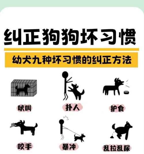 狗狗出现叛逆行为怎么办？纠正方法有哪些？