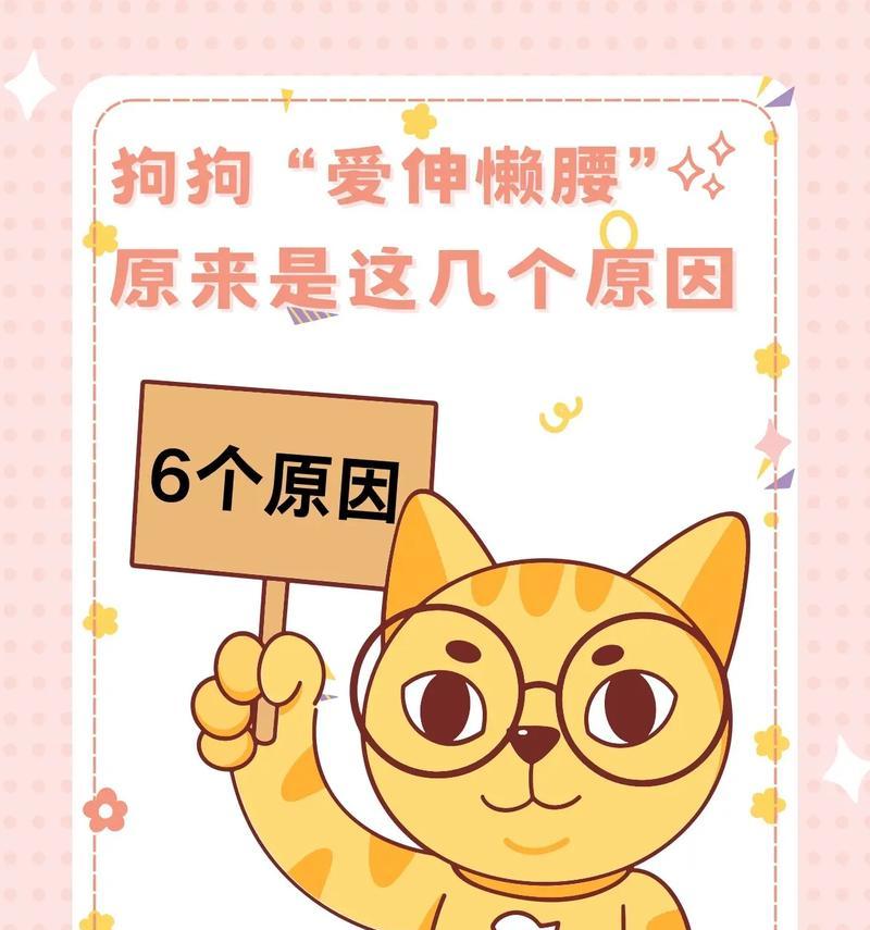 狗狗频繁伸懒腰是为什么？这是否预示着健康问题？