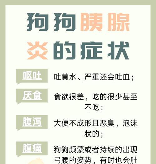 狗狗频繁伸懒腰是为什么?这是否预示着健康问题? 狗狗频繁伸懒腰是为什么?这是否预示着健康问题?
