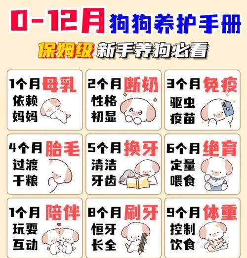 狗狗怎么长更大？有哪些方法可以帮助狗狗健康成长？