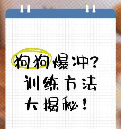 狗狗爆冲该如何应对？有哪些有效的训练方法？