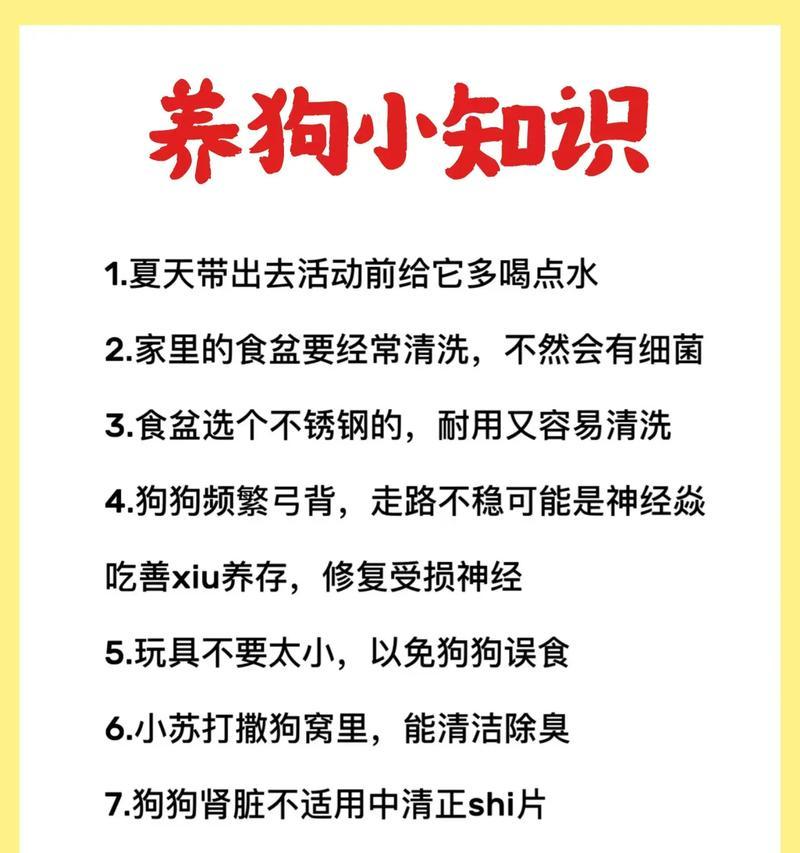 冬天狗狗应该喝什么水?如何保持狗狗的水分摄入? 冬天狗狗应该喝什么水?如何保持狗狗的水分摄入?