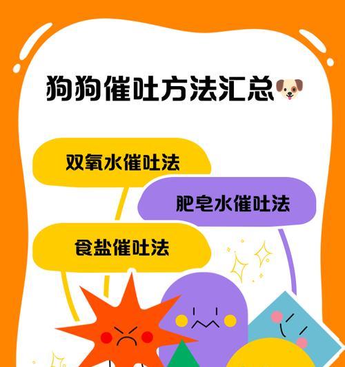 狗狗细小怎么治吐？狗狗细小的治疗方法有哪些？