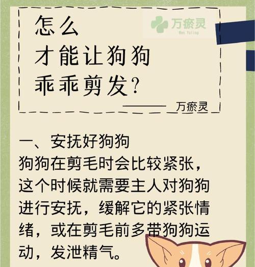 狗狗在家如何有效除毛?除毛有哪些简单方法? 狗狗在家如何有效除毛?除毛有哪些简单方法?