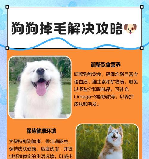 狗狗在家如何有效除毛?除毛有哪些简单方法? 狗狗在家如何有效除毛?除毛有哪些简单方法?