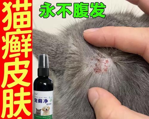 猫嘴巴有猫藓该如何治疗（药物治疗是最有效的方法）