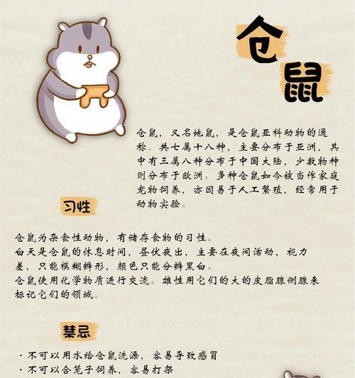 仓鼠取古风网名有哪些创意?如何选择独特的名字? 仓鼠取古风网名有哪些创意?如何选择独特的名字?