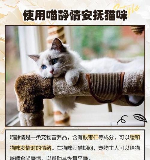 小猫烦躁时如何安抚?有哪些有效方法? 小猫烦躁时如何安抚?有哪些有效方法?