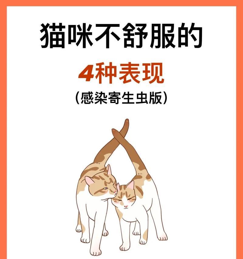 猫咪寄生虫的治疗方法（掌握宠物健康的重要性）