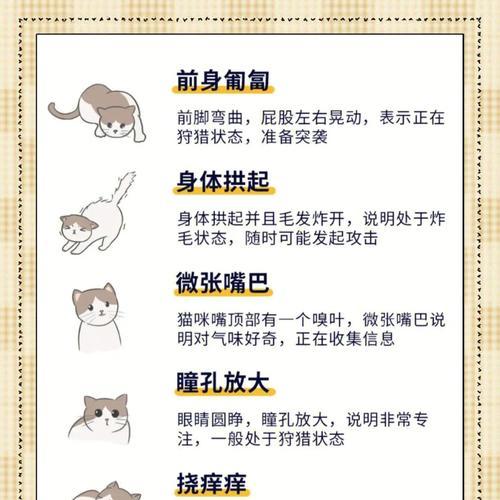 小猫烦躁时如何安抚?有哪些有效方法? 小猫烦躁时如何安抚?有哪些有效方法?