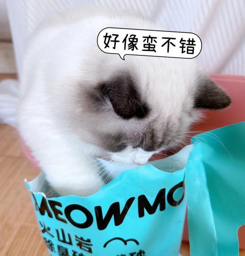 猫舍推荐哪种矿石猫砂?使用矿石猫砂的好处是什么? 猫舍推荐哪种矿石猫砂?使用矿石猫砂的好处是什么?