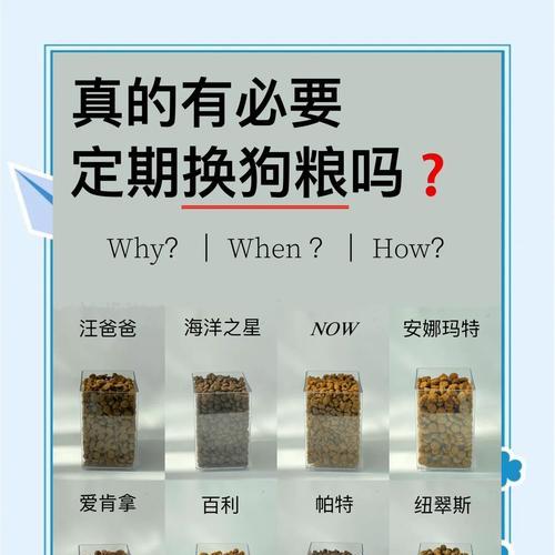 狗狗不适应7日换粮怎么办？有哪些解决方法？