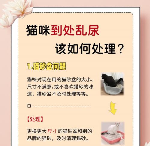 宠物拉稀怎么办，重拾活力的小窍门（以猫拉稀为例）