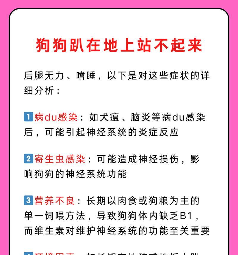 狗狗遇到同类为何会趴下?背后的原因是什么? 狗狗遇到同类为何会趴下?背后的原因是什么?