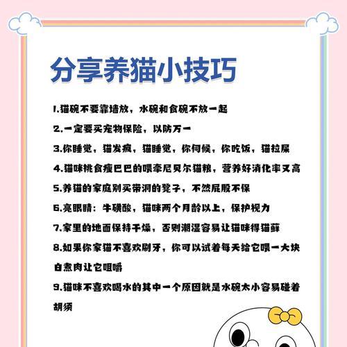 怎样养小猫咪？从幼崽到成猫，你需要知道的一切！