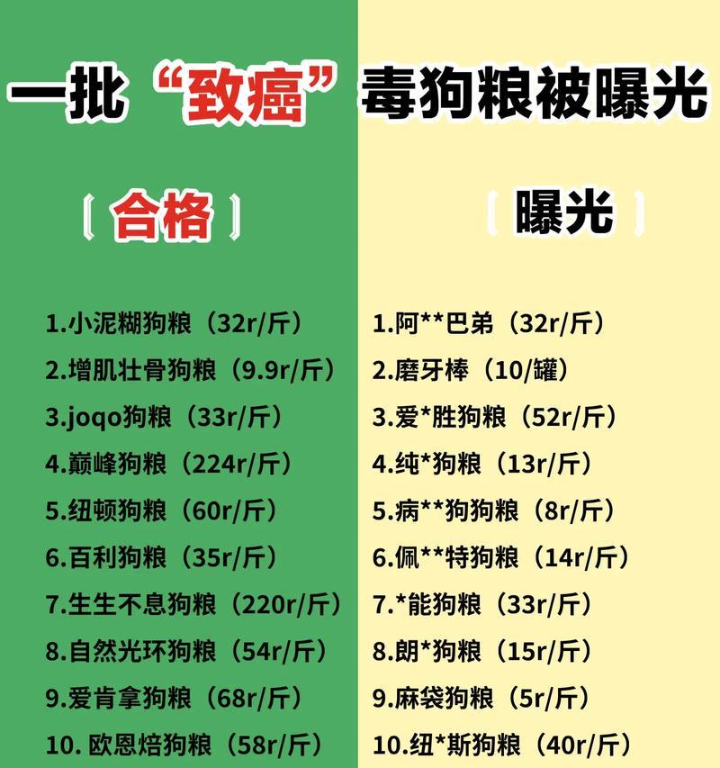 柯基除了狗粮还能吃什么（探寻柯基的饮食奥秘）