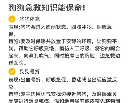 狗狗救了人之后应该怎么办？有哪些注意事项？