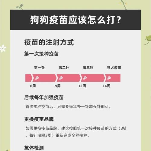狗狗需要接种哪些疫苗?如何制定合理的免疫计划? 狗狗需要接种哪些疫苗?如何制定合理的免疫计划?