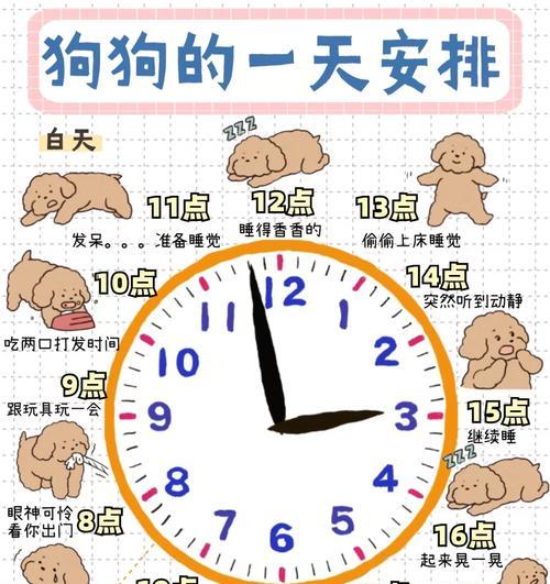 如何预防狗狗细小病毒感染（宠物爱好者必看）