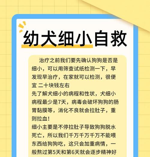 狗狗细小病毒的治疗方法有哪些？