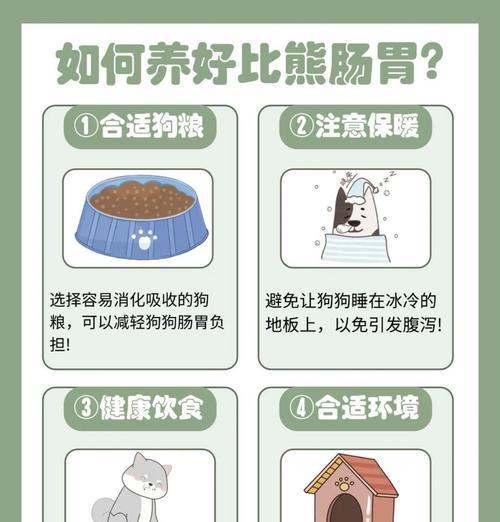 狗狗为什么能吃？它们的消化系统是如何工作的？