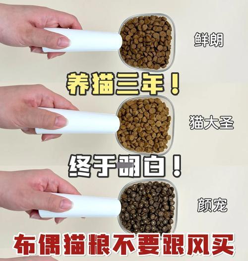 布偶猫的日常用品需要准备哪些？