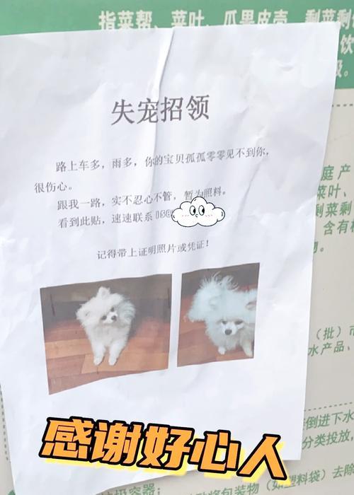 狗狗走失后如何找回？有哪些有效的方法？