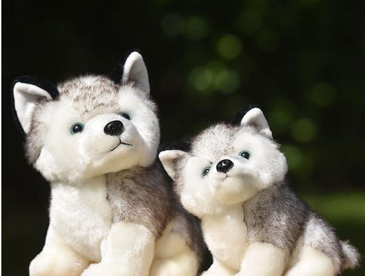 全国十大权威犬舍柴犬犬舍排名(从这些犬舍选柴犬) 全国十大权威犬舍柴犬犬舍排名(从这些犬舍选柴犬)