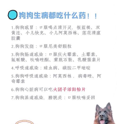 狗狗烦躁时应该喂什么药?如何正确用药? 狗狗烦躁时应该喂什么药?如何正确用药?