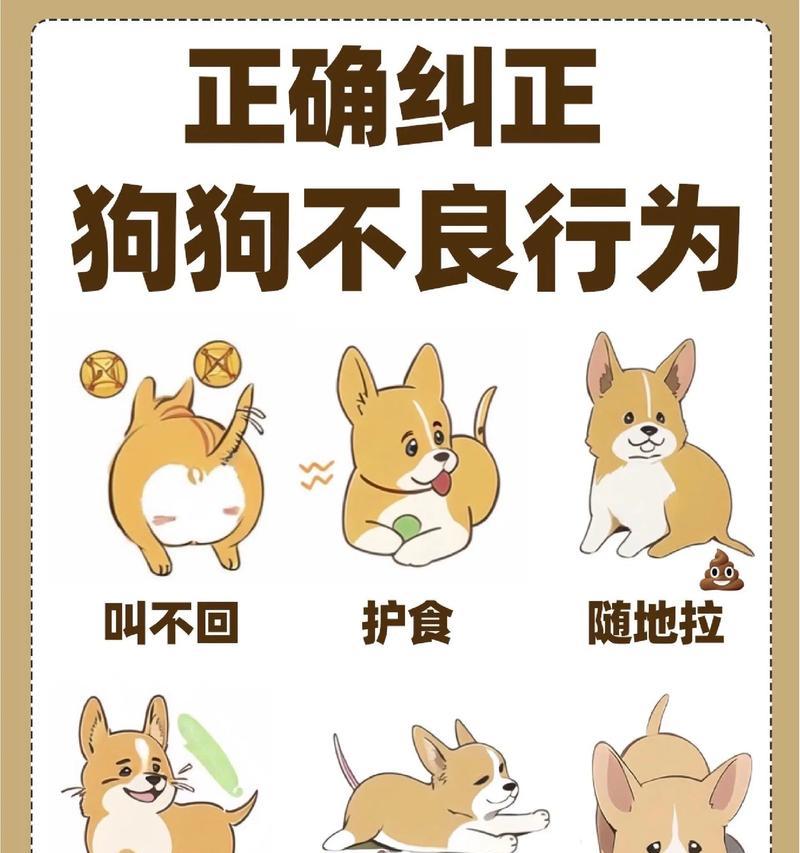 狗狗频繁外出惹事的原因是什么？如何纠正这一行为？