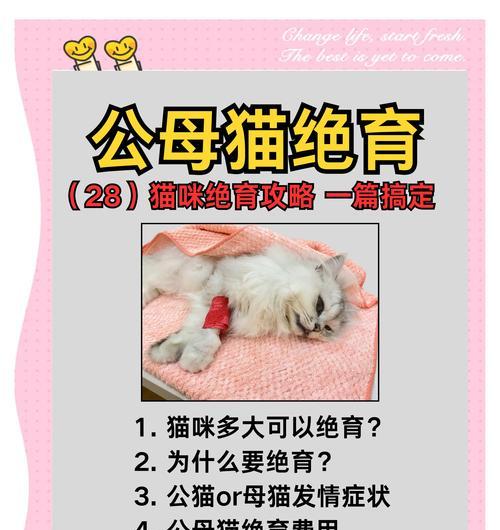 绝育公猫拍屁股并发出喵喵声是何原因? 绝育公猫拍屁股并发出喵喵声是何原因?