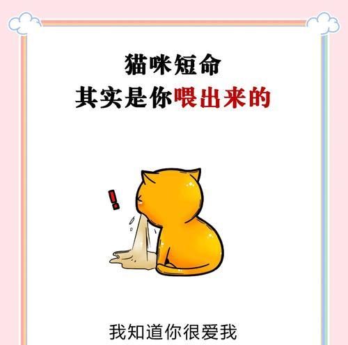 野猫饮食全解析(以宠物为主) 野猫饮食全解析(以宠物为主)