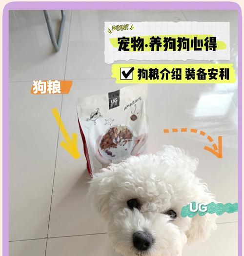 比熊狗节育的费用是多少？节育后需要注意哪些事项？