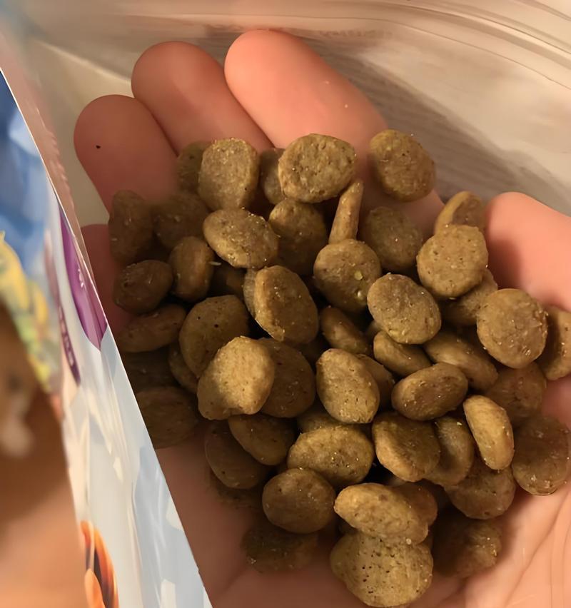 斗牛犬的饮食要点（宠物爱犬的健康保障）