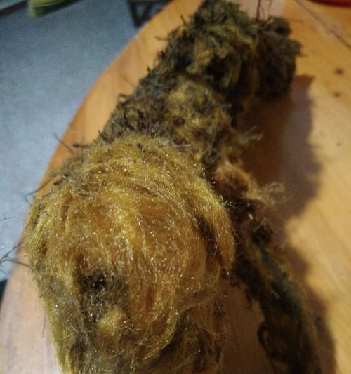 狗狗能否吃草药（宠物用草药的安全性和效果分析）